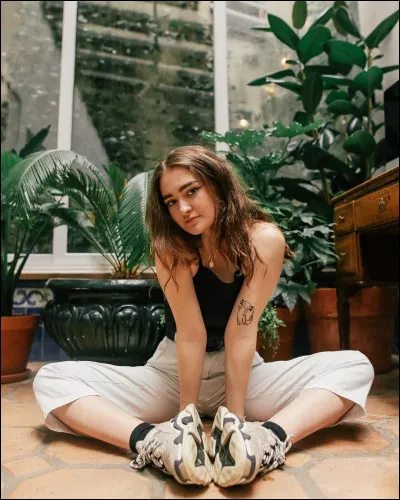 A-t-elle fait des vidéos sur ses journaux intimes ?