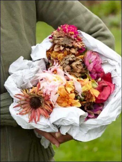 Complétez : 
"Bæði verðum..."