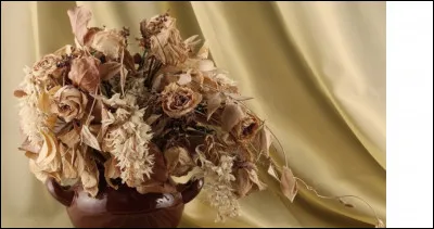 Complétez : 
"Hryggur, votur..."