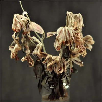 Complétez : 
"Gremju, reiði..."