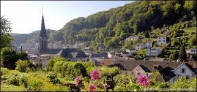 Dans quel département français se situe la ville de Plombière-les-Bains ?
