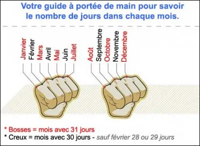 Quels mois successifs de la même année ont chacun 31 jours ?