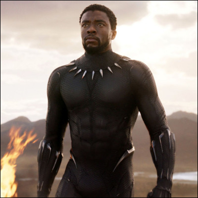 Comment s'appelle Black Panther ?