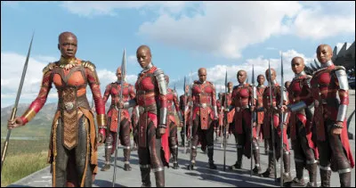 Quel est le nom de l'ensemble des guerrières gardes du corps de Black Panther ?