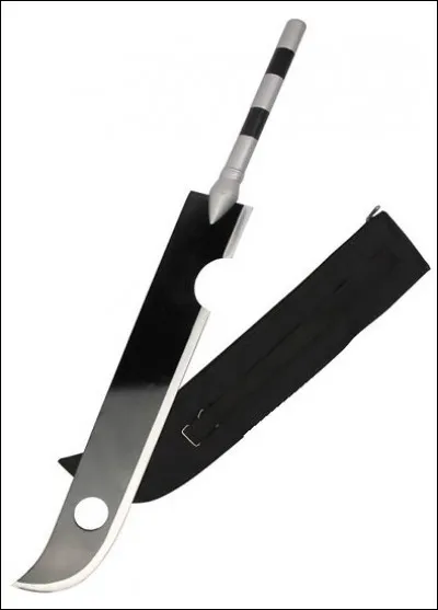 À qui appartient cette arme ?