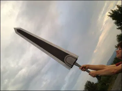 À qui appartient cette arme ?