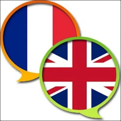 Quel verbe issu de l�anglais peut &ecirc;tre remplac&eacute; par le n&eacute;ologisme divulg&acirc;cher ?