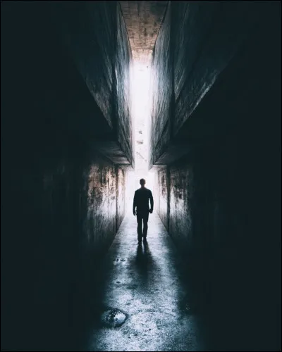 Tu rentres de l'école pour rentrer chez toi, il est assez tard. Soudain, tu passes par une rue sombre et tu vois une ombre de loin et tu as l'impression qu'elle te suit ! Comment réagis-tu ?