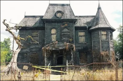 Tes amis te disent : "Bon, cette nuit on va passer la nuit dans cette maison abandonnée, je veux savoir si elle est vraiment hantée ou si ce sont des légendes !" Comment réagis-tu ?