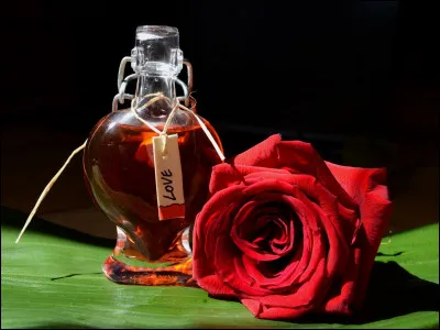 Avec qui s'est mariée Ginny Weasley ?