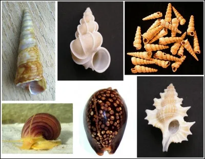 Le Club des Cent a un rapport avec...