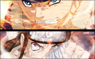 "Le vrai h&eacute;ros est celui qui vainc sa propre col&egrave;re et sa haine." Qui a dit &ccedil;a ?