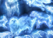 Test Harry Potter - Quel est ton patronus ?