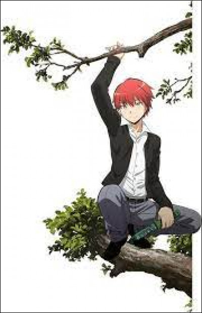 Avant les cours, une bande de filles et de garçons vont te voir et te disent plein de choses du genre "Tu viens d'où ?", "Oui notre classe est chelou", etc.
Quand, soudain, tu vois Karma tout au bout adossé à un arbre, que fais-tu ?