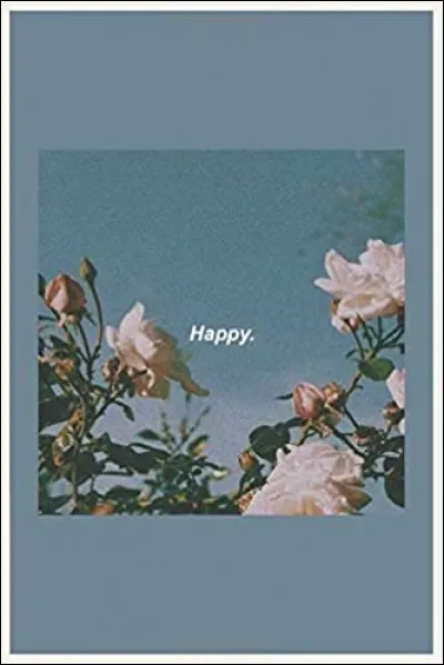 Tu pr&eacute;f&egrave;res :