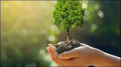 À qui doit-on la chanson "Auprès de mon arbre" dans les années 50 ?