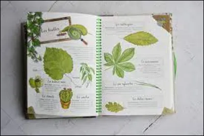 Quel est le nom donné au livre ou à l'intérieur, on y trouve des feuilles d'arbres séchés ?