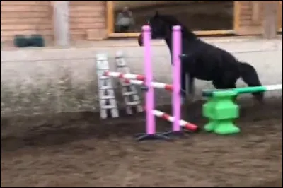 Comment s'appelle l'obstacle ?