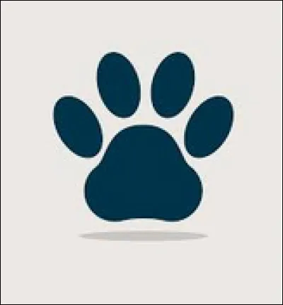 Lequel de ses animaux atypiques adopterais-tu chez toi si c'était possible ?