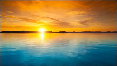 Ton activité du dimanche matin est :