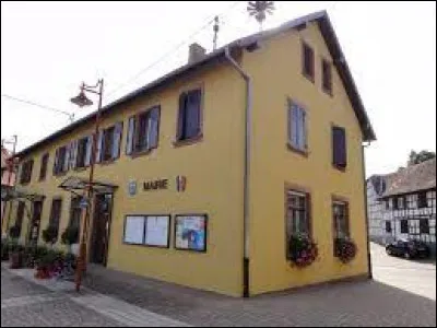 Commune du Grand-Est, dans l'arrondissement de Saverne, Dingsheim se trouve dans le d&eacute;partement ...