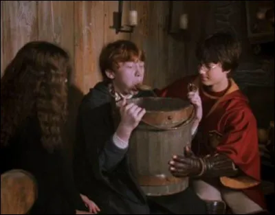 Ron n’a pas l’air en forme... Qu’a-t-il ?