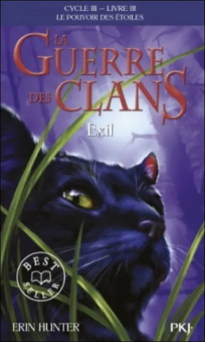 Qui sont les deux chats de la tribu qui viennent demander de laide au Clan du Tonnerre ?