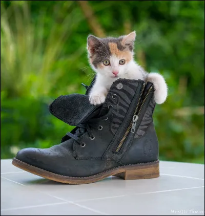 Quelle est la 2e lettre de ton prénom ?