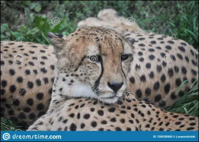 Quelle est la 6e lettre de ton prénom ?