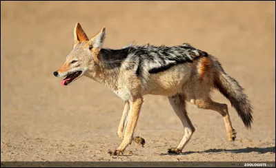 Quelle est la 8e lettre de ton prénom ?