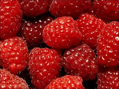 Comment dit-on 'framboise' en anglais ?