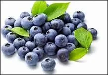 Comment dit-on 'myrtille' en anglais ?