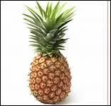 Comment dit-on 'ananas' en anglais ?