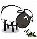 Comment dit-on 'leveur de btail' en anglais ?