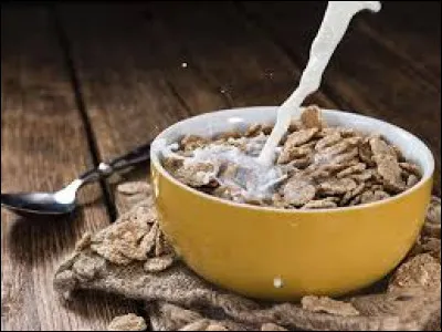 Quelles céréales aimes-tu pour ton petit-déjeuner parmi ces 4 ?