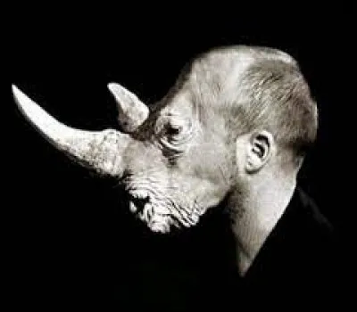 Quel auteur a écrit une pièce de théâtre où les personnages deviennent des rhinocéros ?