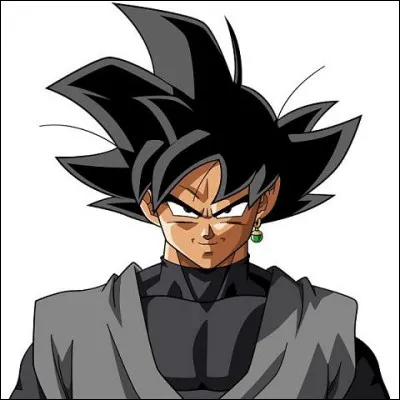 Qui est black Goku ?