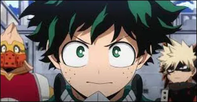 Avec qui Izuku Midoriya vit-il ?