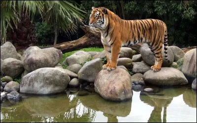 Quelle lettre est avant le G ?