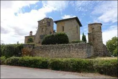 Je vous propose de partir dans le Tarn, &agrave; la d&eacute;couverte du ch&acirc;teau de Magrin. Nous serons dans l'ancienne et la nouvelle r&eacute;gion ...