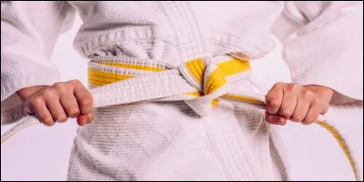 Au judo, de quelle couleur est la ceinture qui précède la ceinture marron ?