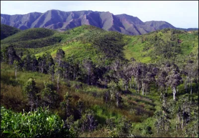 Quel est le point culminant en Nouvelle-Calédonie ?