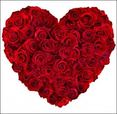 Quelle est la personne qui compte le plus pour toi ?