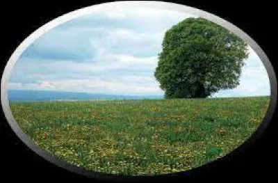 Mythologie : D'apr&egrave;s la mythologie grecque, pourquoi les terres sont-elles moins propices &agrave; l'agriculture en hiver et en automne qu'en &eacute;t&eacute; et au printemps ?