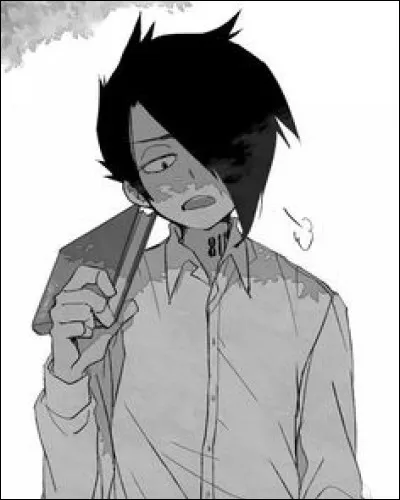 Quelle supposition émet Ray sur l'extérieur ?