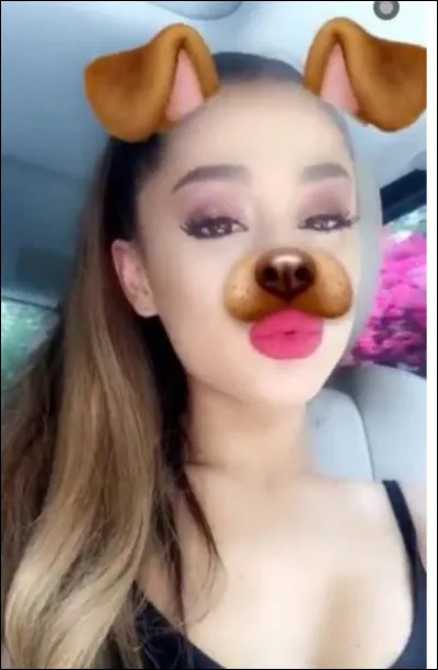 La chanteuse adore utiliser les filtres Snapchat pour faire...
