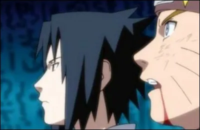Dans quel film Naruto et Sasuke combattent-ils ensemble ?