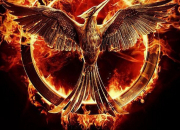 Quiz Hunger Games : Les tributs et leur district