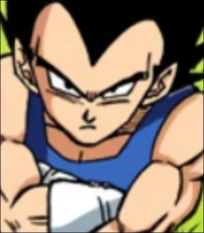 Qui est l'adversaire de Vegeta lors du 28e Championnat du Monde ?