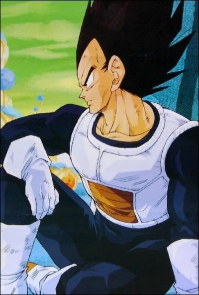 Quel était son objectif ?